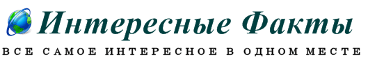 Интересные Факты