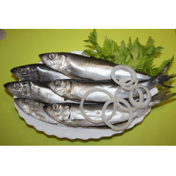 Рецепт: Салака маринованная малосольная - Пряная рыбка, идеальная. Вкуснее покупной.