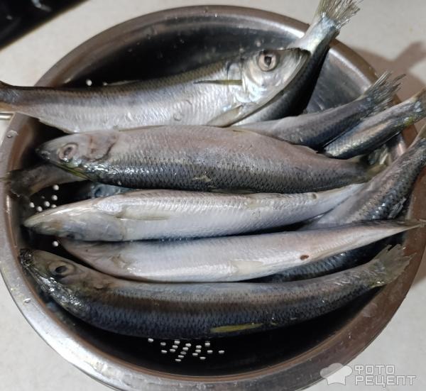 Рецепт: Салака маринованная малосольная - Пряная рыбка, идеальная. Вкуснее покупной.