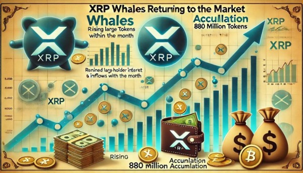 XRP -киты вернулись &ndash; в этом месяце накоплено 880 миллионов токенов