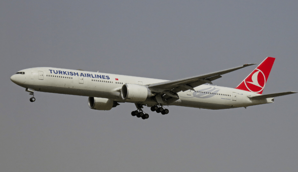 Turkish Airlines сняла все рейсы в Анталью, Бодрум и Даламан из Москвы и Санкт-Петербурга