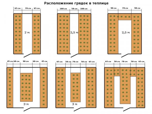 Правила планировки грядок в теплице для хорошего урожая Правила планировки грядок в теплице для хорошего урожая