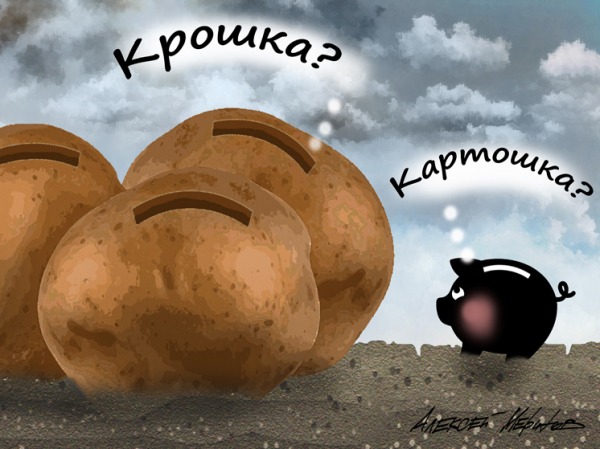 Цены на &laquo;второй хлеб&raquo; продолжают расти рекордными темпами: названы причины
