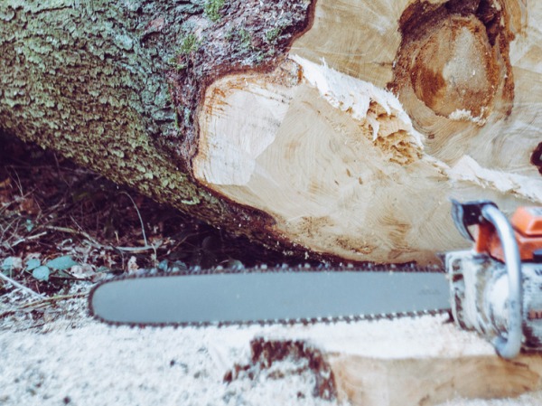 Лесоруб случайно обезглавил себя бензопилой после приема психотропных веществ