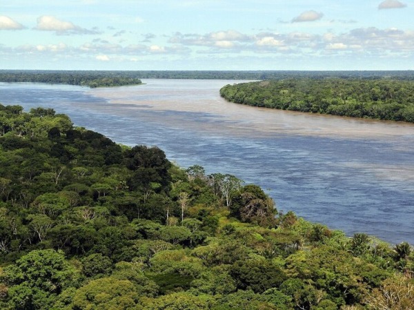 Названа особенность построенной забытой цивилизацией в тропических лесах Амазонки &laquo;священной пирамиды&raquo;