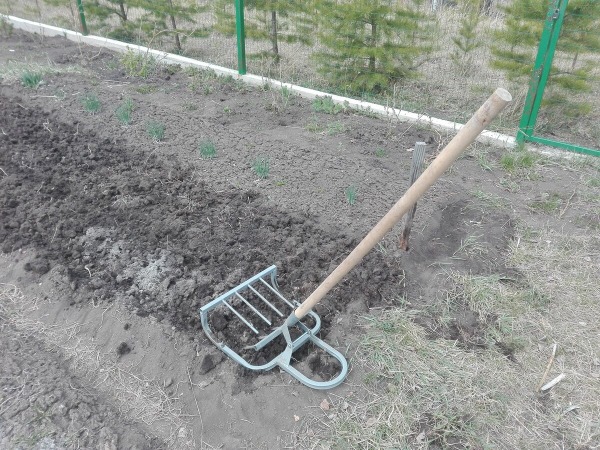 Ничуть не хуже: чем, кроме лопаты, можно быстро вскопать землю Ничуть не хуже: чем, кроме лопаты, можно быстро вскопать землю