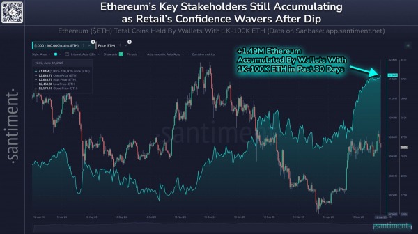 Ethereum Whales, акулы продолжают покупать ETH, так как розничная торговля выпускается