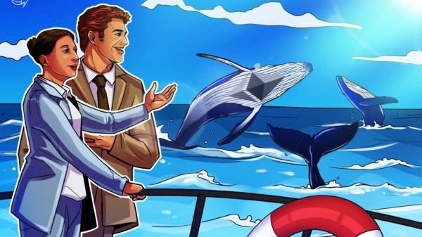 Ethereum Whales, акулы продолжают покупать ETH, так как розничная торговля выпускается