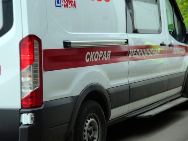 Девушка чуть не утонула после падения на нее дерева
