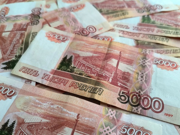 Доходы российских домохозяйств растут, но люди этого не чувствуют: аналитик дала объяснение
