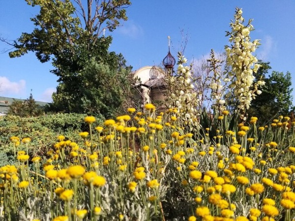 Клумбы в цветах и &laquo;раны&raquo; от украинских обстрелов: в Сети показали монастырь в селе Никольское в Донбассе