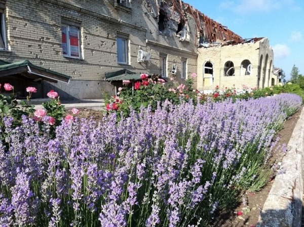 Клумбы в цветах и &laquo;раны&raquo; от украинских обстрелов: в Сети показали монастырь в селе Никольское в Донбассе