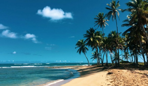 В авиакомпаниях пока не видят возможностей для полетов в Доминикану&nbsp;