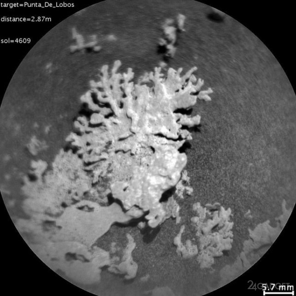 Марсоход NASA Curiosity нашёл на Марсе &laquo;коралл&raquo; возрастом в несколько миллиардов лет (2 фото)