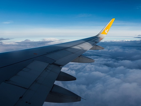 Блоггер извинилась перед пассажирами после экстренной посадки самолета из-за проблем с кишечником