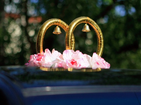 Россиян хотят посвящать в финансовые тайны женихов и невест