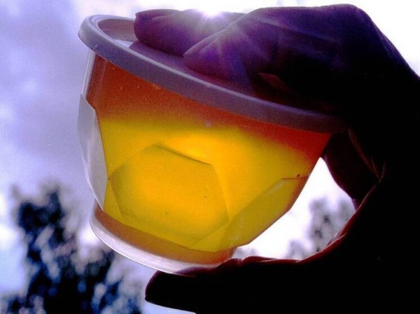 Мед может подорожать на 30 % : сладкому продукту грозит дефицит