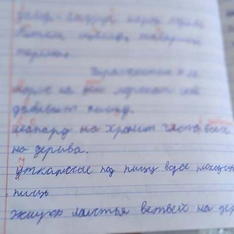 «Освобожденный» учитель присмотрит за роботом: проверку тетрадей решили отдать ИИ