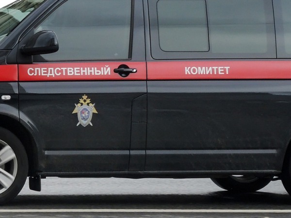 По факту пропажи подростков в Звенигороде возбуждено уголовное дело