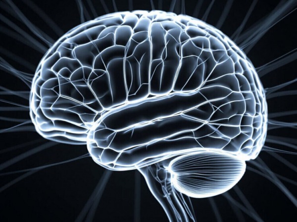 Ученые нашли секретный ингредиент борьбы против старения