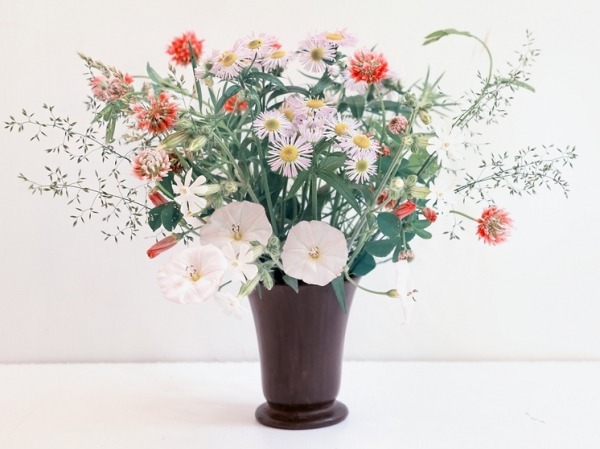 В России запатентовали джакузи с дистанционным управлением для цветов