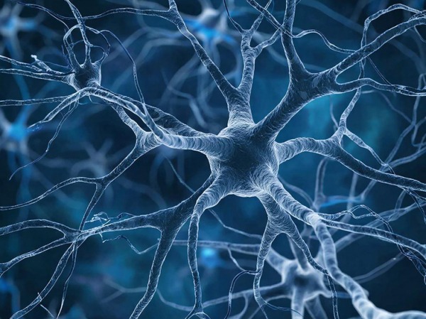 Болезнь Паркинсона будут лечить каплями в нос: ученые научились стимулировать нейроны мозга без операции