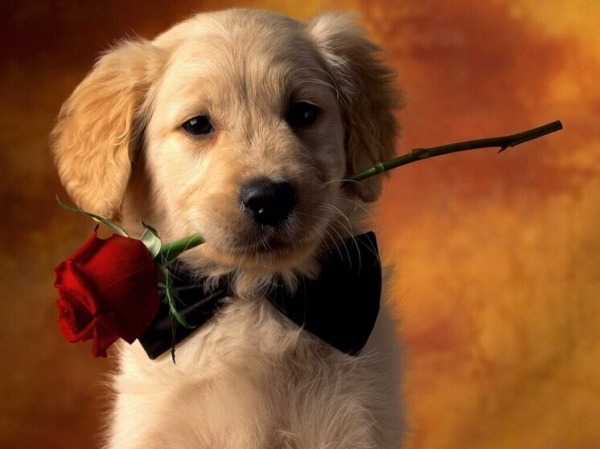 Дни рождения 15 апреля