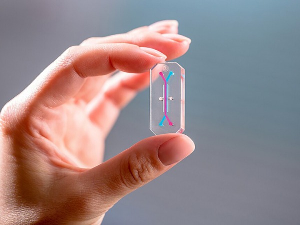 Рекорд по дальности полета, солнечное затмение, занятия "греблей" над Луной: чем удивляет «Артемида-2»