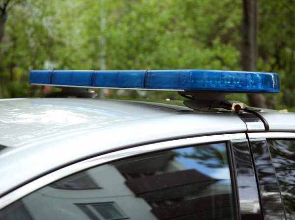 Уроженца Саратова уволили с поста мэра колумбийского города Тунха, а омич зарезал семерых козлят из-за ссоры с женой: картина дня в регионах России глазами «МК»