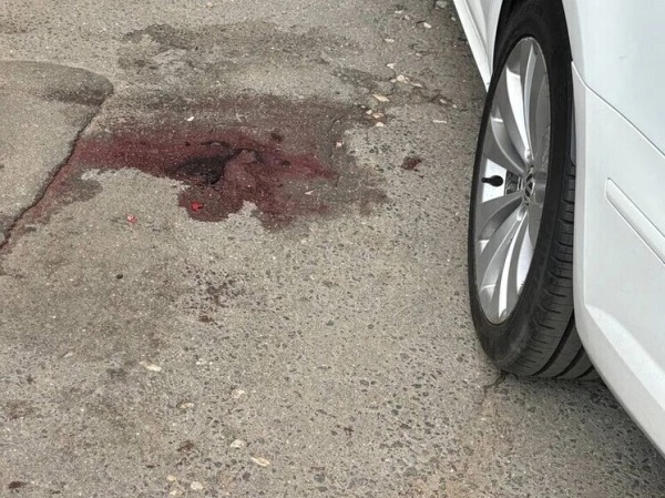 «Шайка-лейка пьет каждый день»: что происходит на месте резни в подмосковном городе