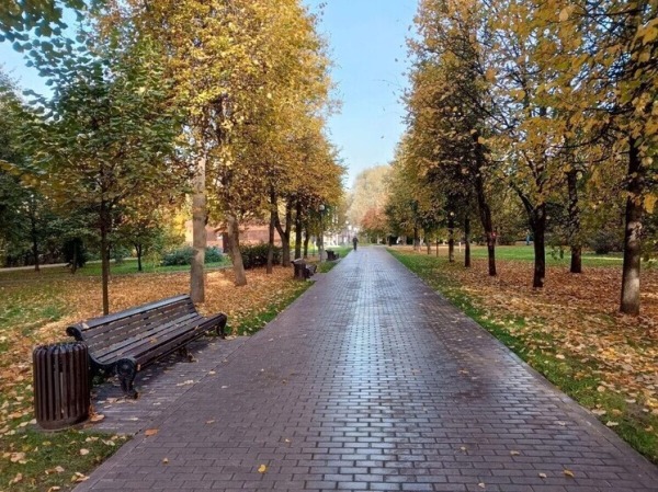 Давление и перепады погоды: как пережить скачки без вреда для здоровья