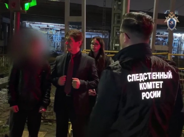 Задержан хулиган, травмировавший пассажирку электрички камнем